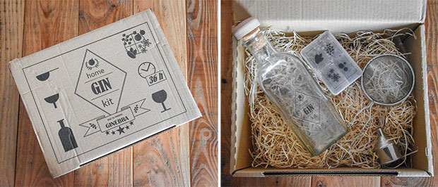 Home gin kit