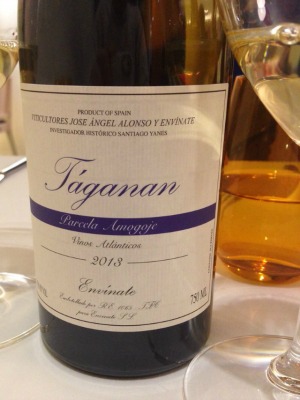 Táganan Parcela Amogoje 2013