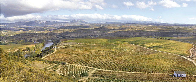 Viña Lanciano Reserva 2010, Bodegas LAN