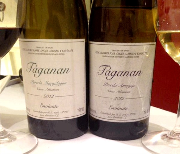 envinate-celler-tossal-primeros-taganan