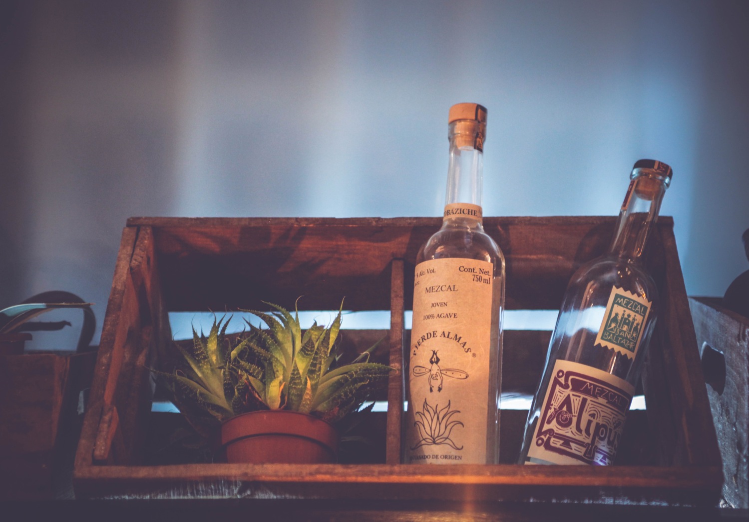 Mezcales Pierde Almas y Alipús 