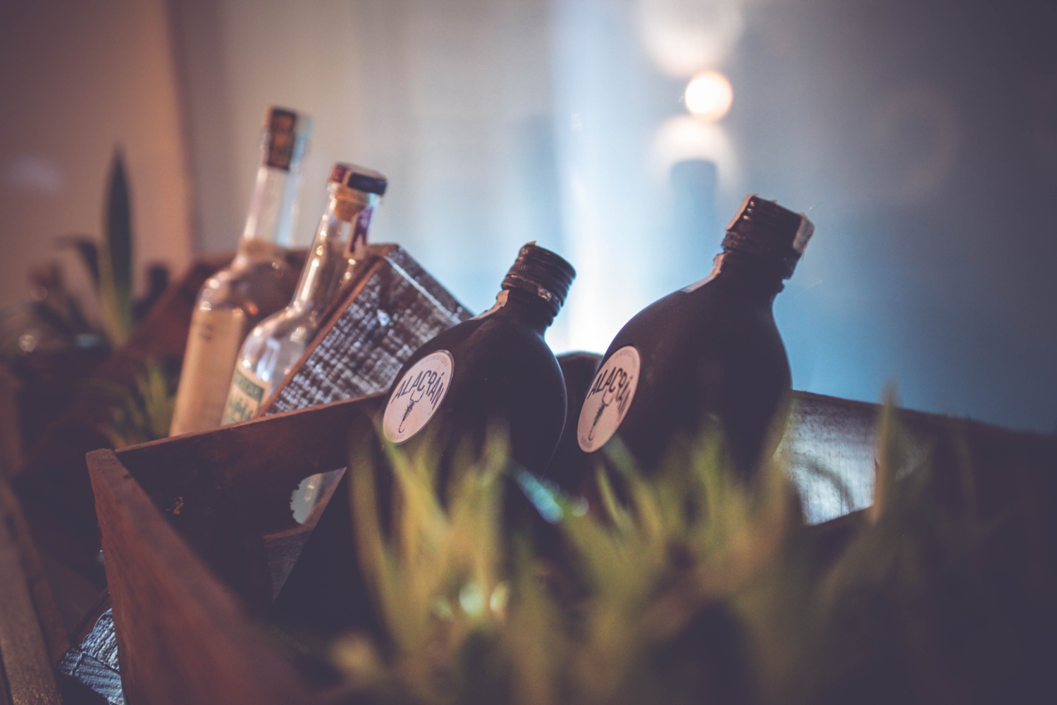 Tequila Alacrán 