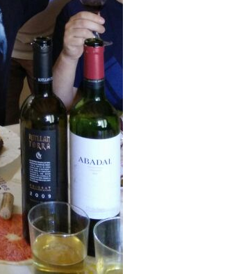 2 de los 3 vinos del finde