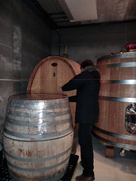 Visita a Bernabeleva catando de barricas