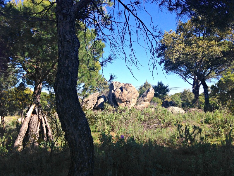 Visita a la bodega Las Moradas de San Martin: paisaje