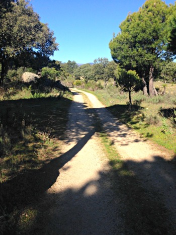 Visita a la bodega Las Moradas de San Martin: camino y paisaje