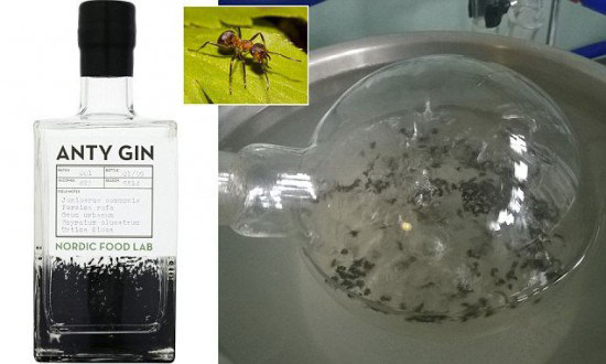 Anty Gin, la ginebra hecha con hormigas