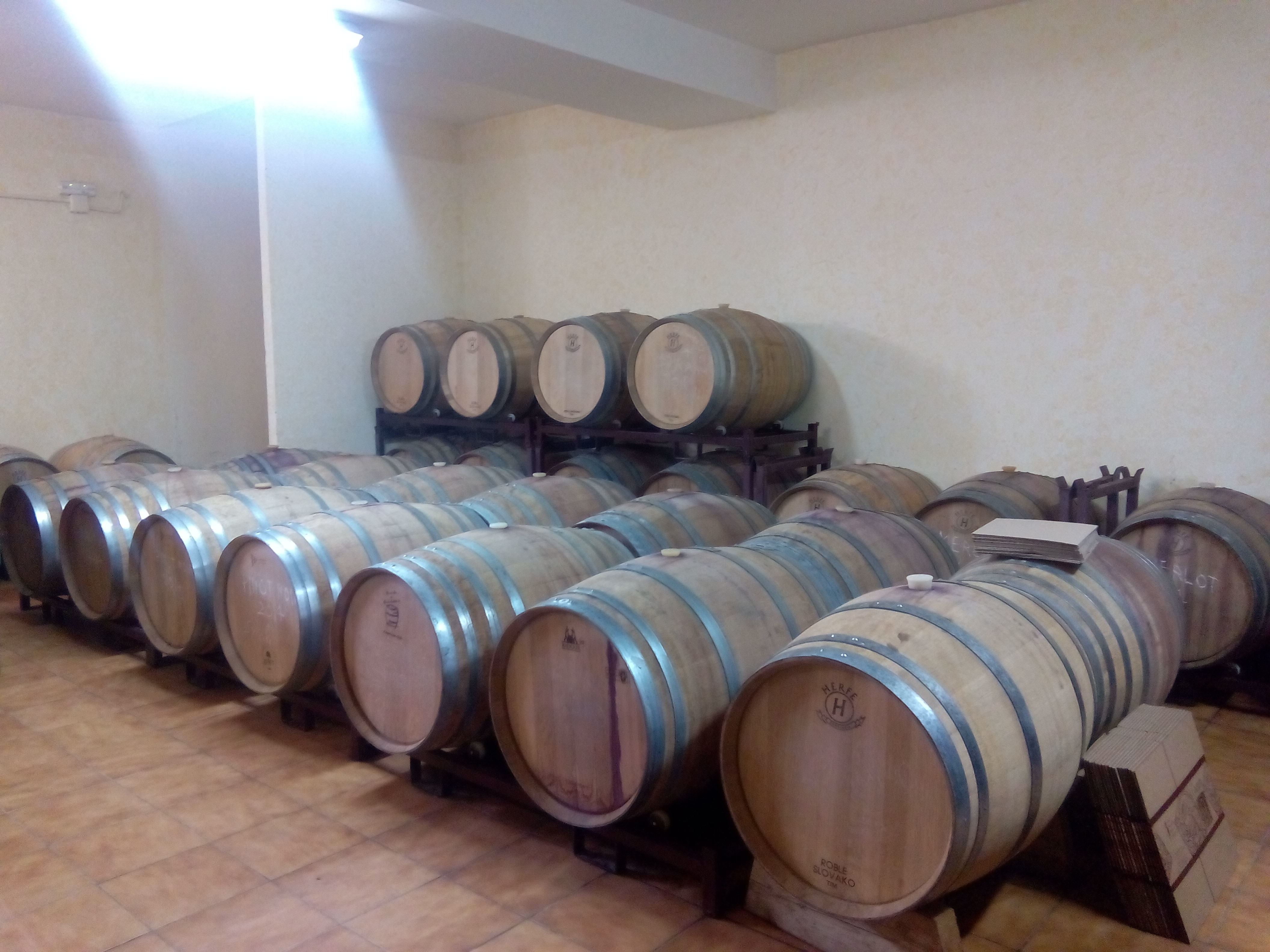 Incluso la sala de barricas cabía en mi terraza, que no es precisamente grande...