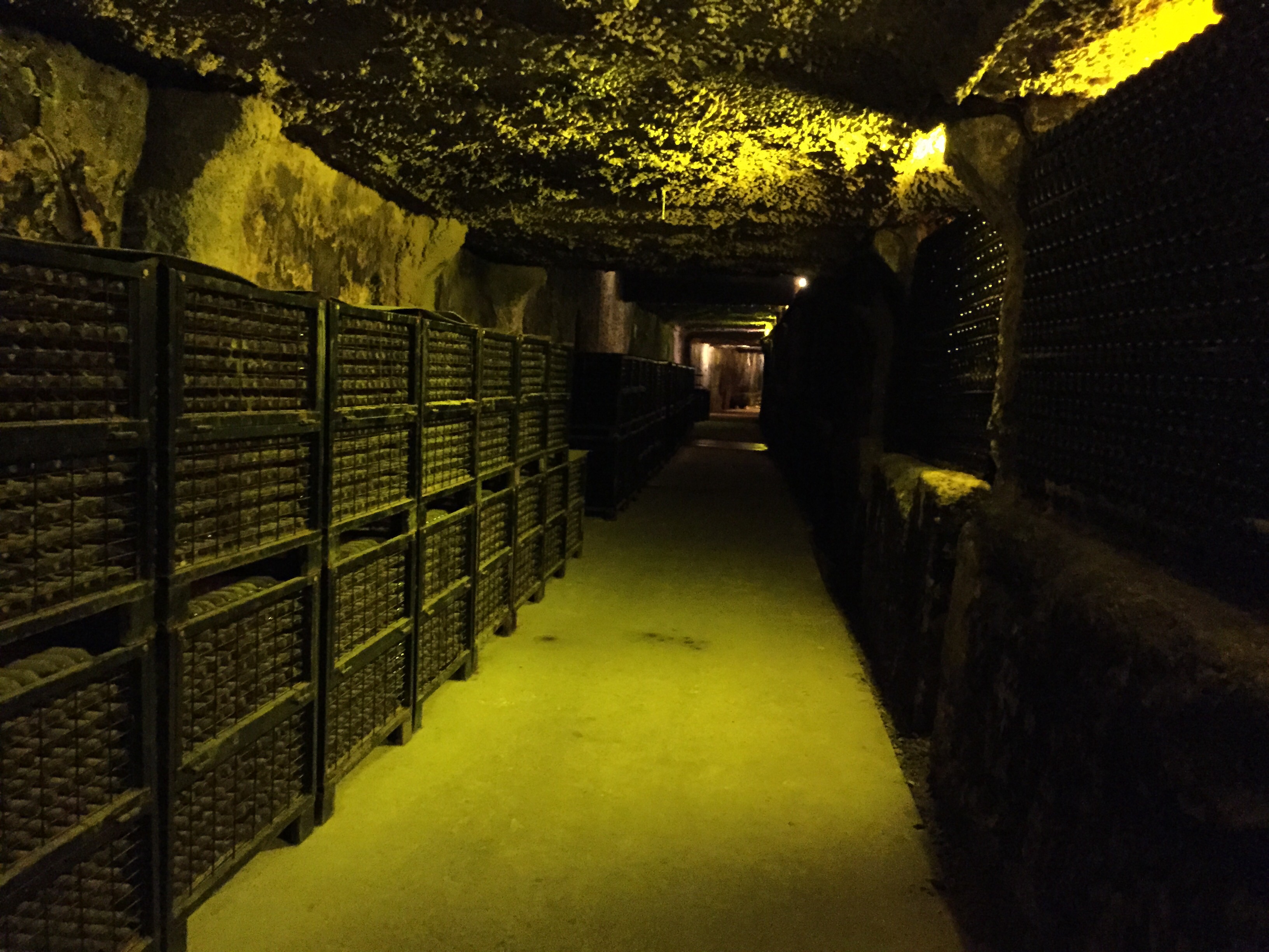 La gran joya de la bodega... Pasillos interminables de una bodega con condiciones inmejorables, con unas 250000 botellas, muchas aun incluso por catalogar... Indescriptible, no creo que las fotos le hagan sombra.