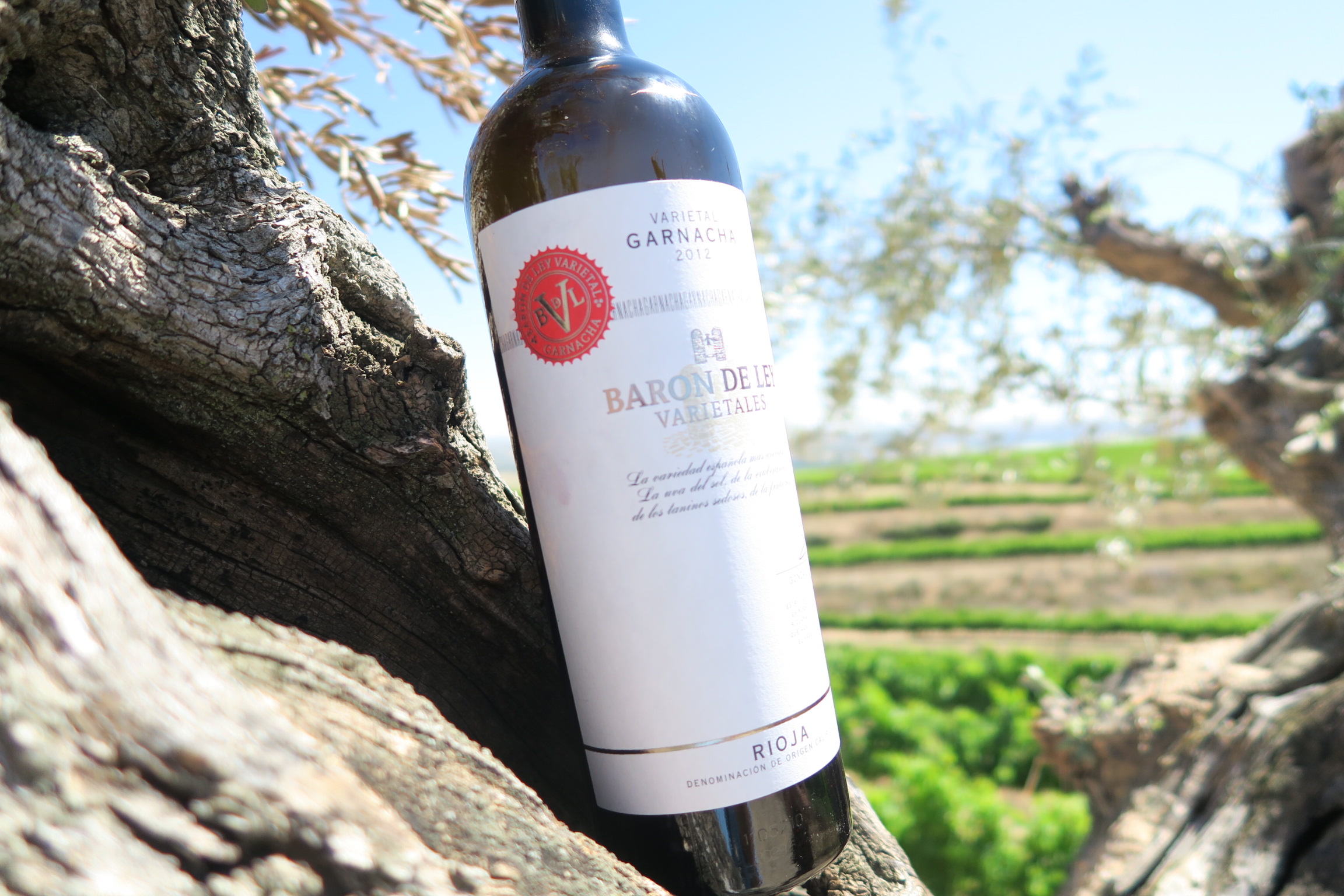 baron de ley