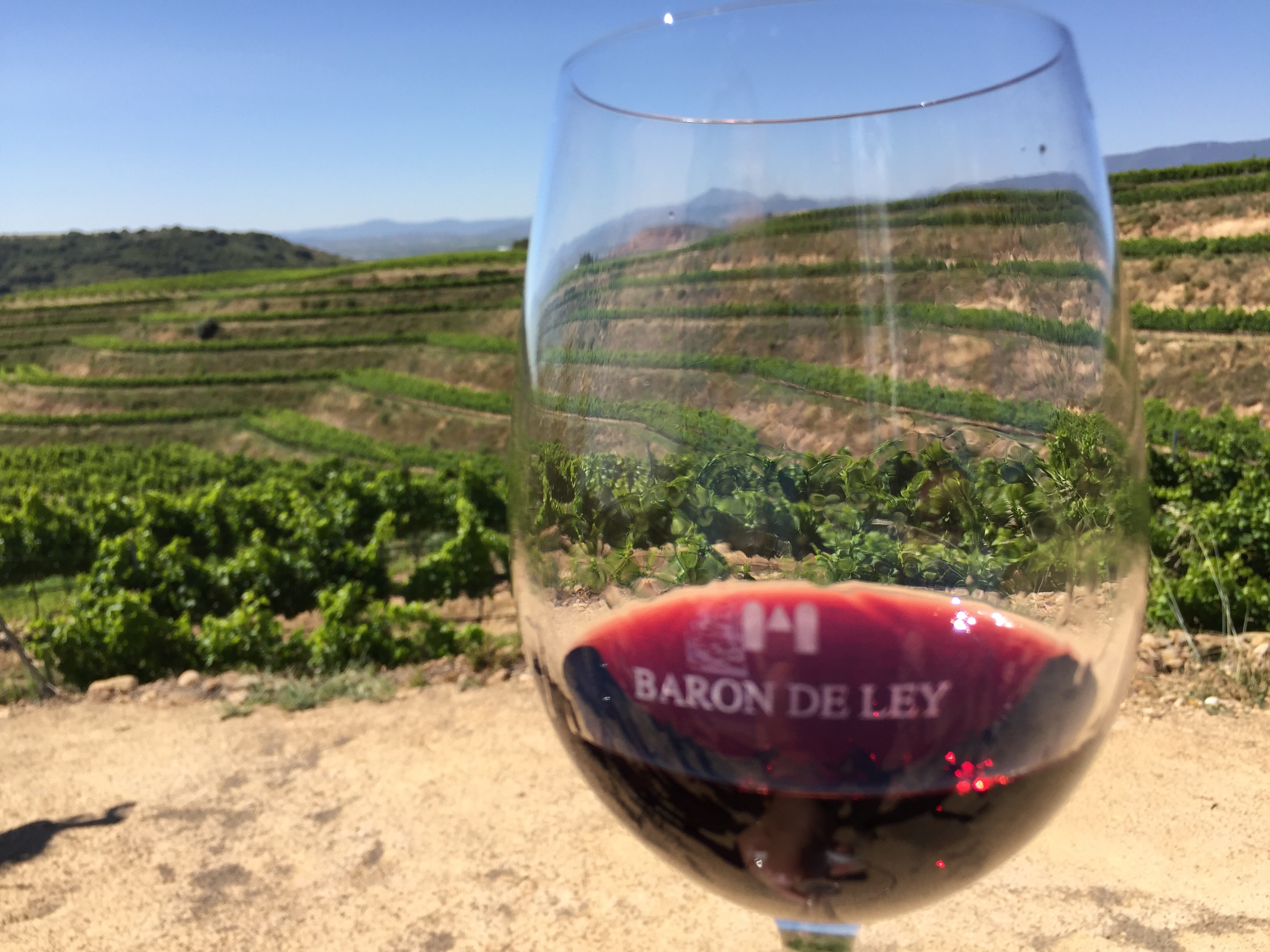 Espectacular e inmenso el viñedo. Gran privilegio probar este varietal de garnacha frente a las cepas que la vieron nacer