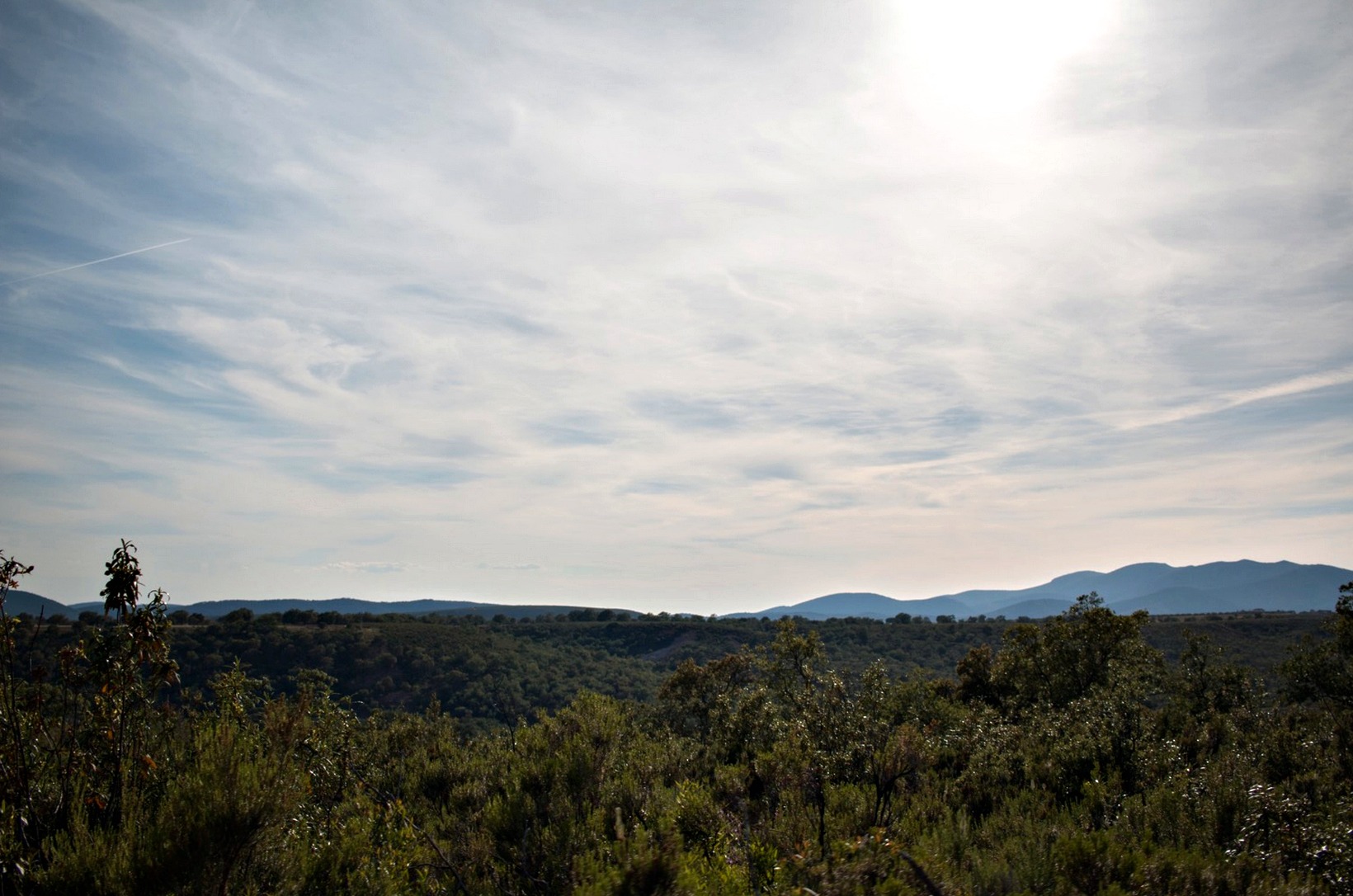 Visita a Pago de Vallegarcía