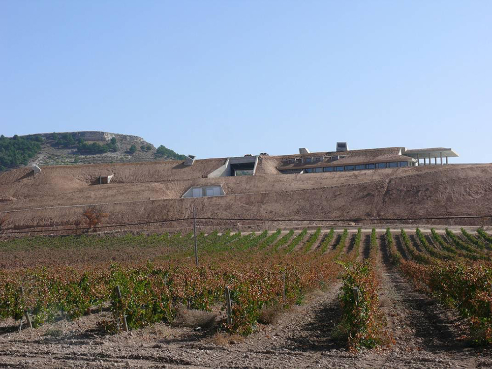 Entrecastillos, el nuevo proyecto vitivinícola de Bodegas Yllera