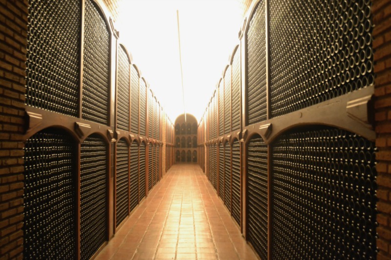 Encuentro de Foreros Rioja 2015: Bodegas Campillo