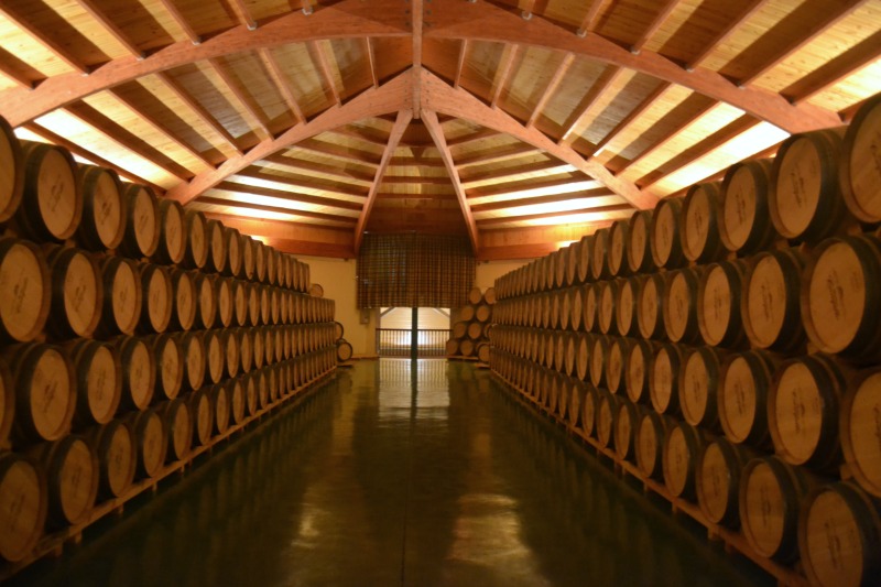 Encuentro de Foreros Rioja 2015: Bodegas Campillo