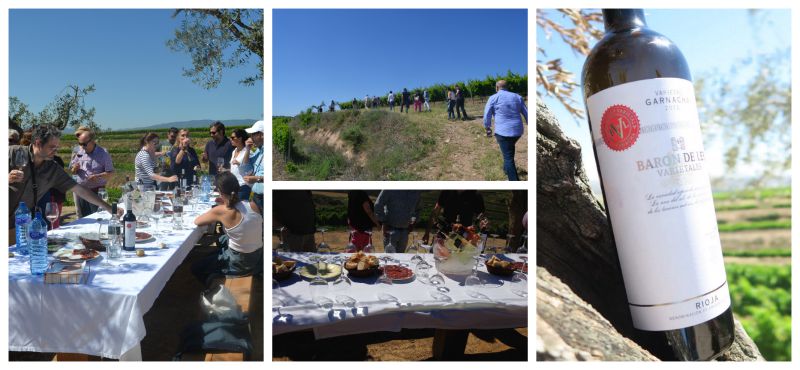 Visita Bodegas Barón de Ley 1er Encuentro Foreros 2015