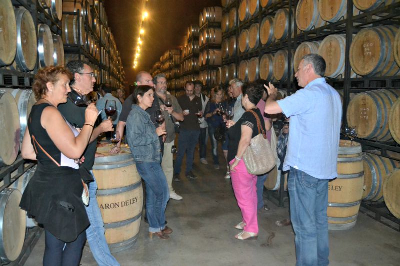 Visita Bodegas Barón de Ley 1er Encuentro Foreros 2015