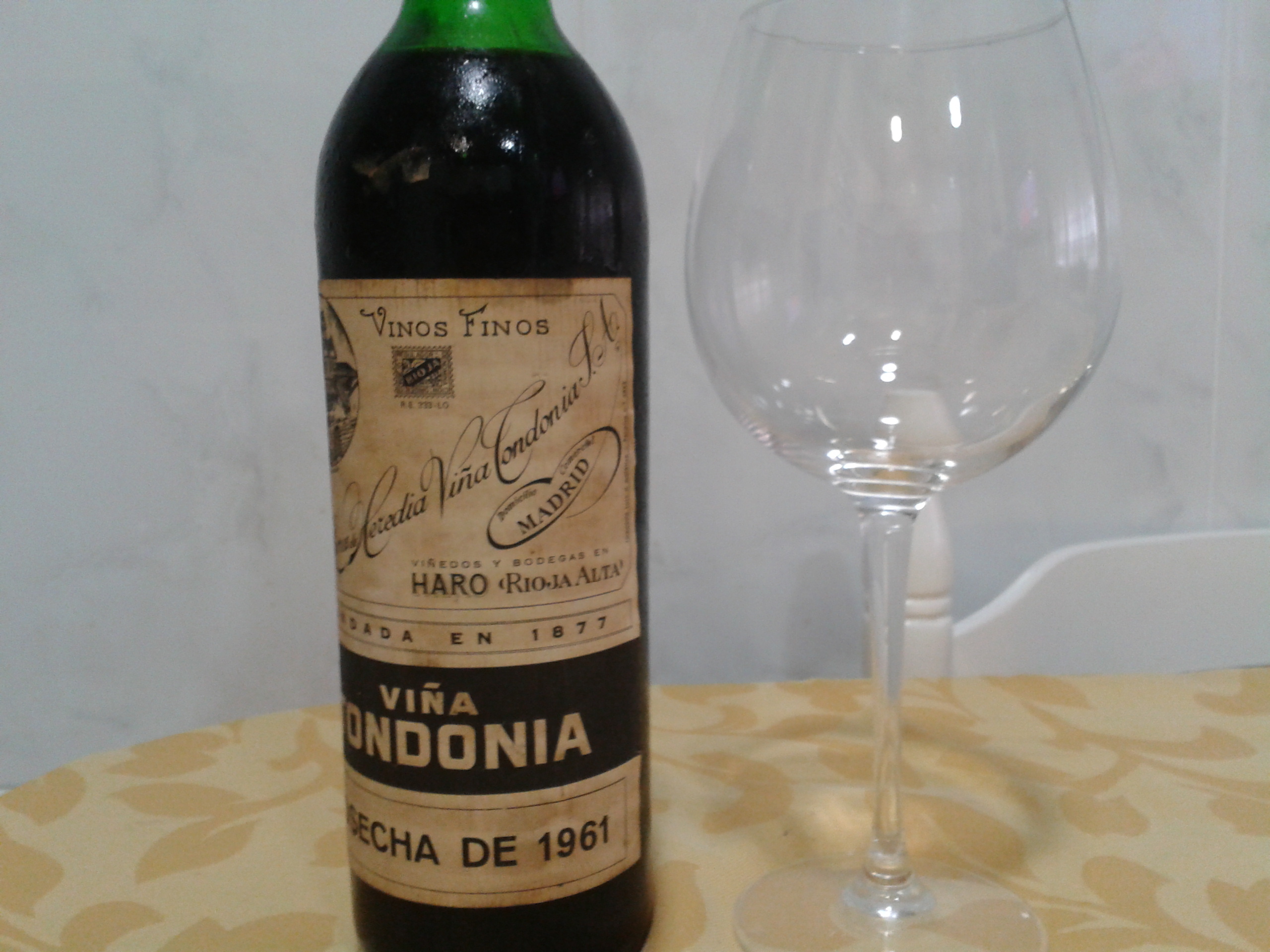 Tondonia GR 61
