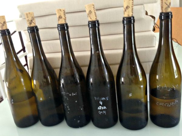 Los pitijopos: vinos del año cada uno de un pago con los que quiere demostrar la singularidad de cada uno