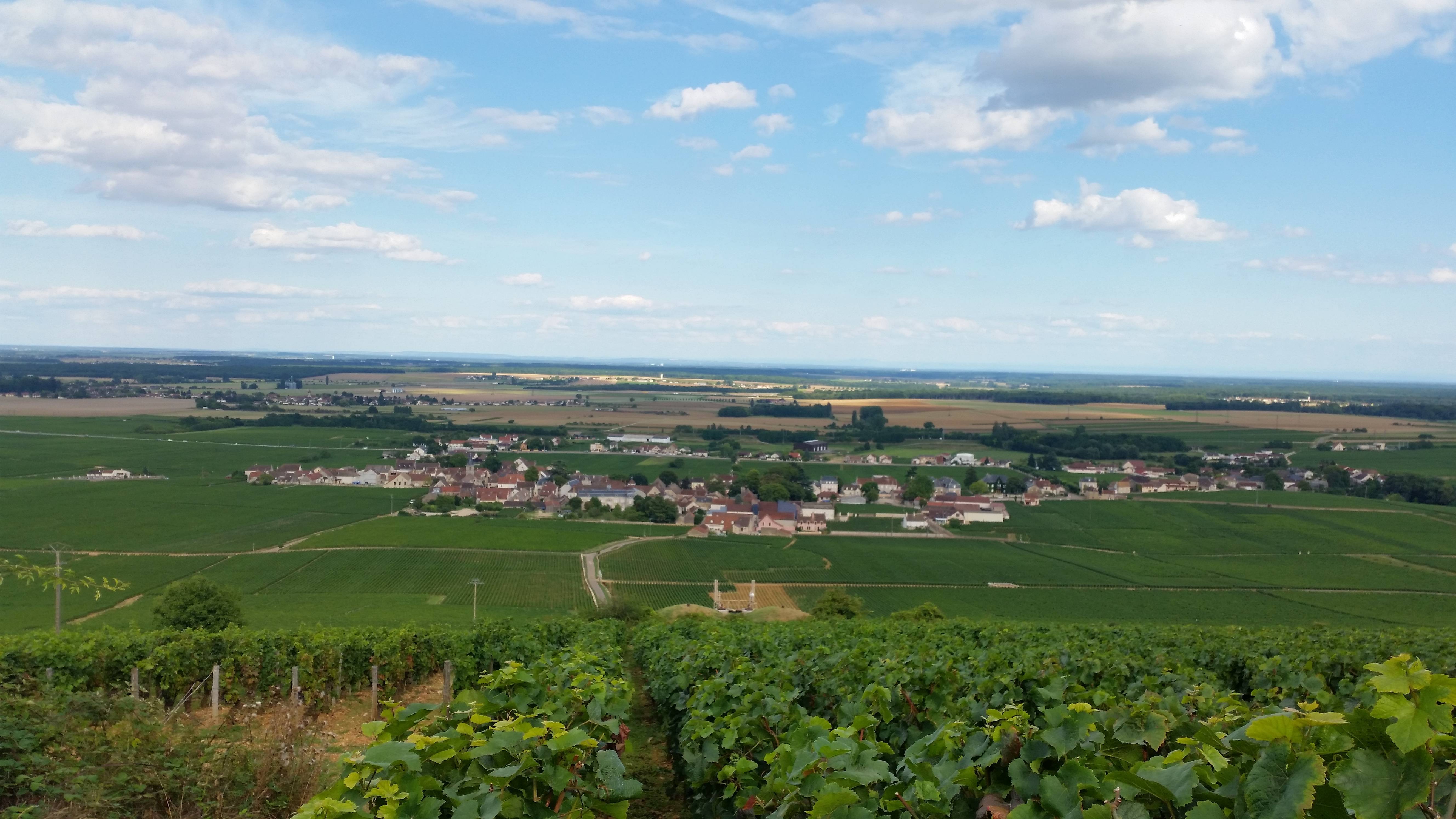 Vosne-Romanée