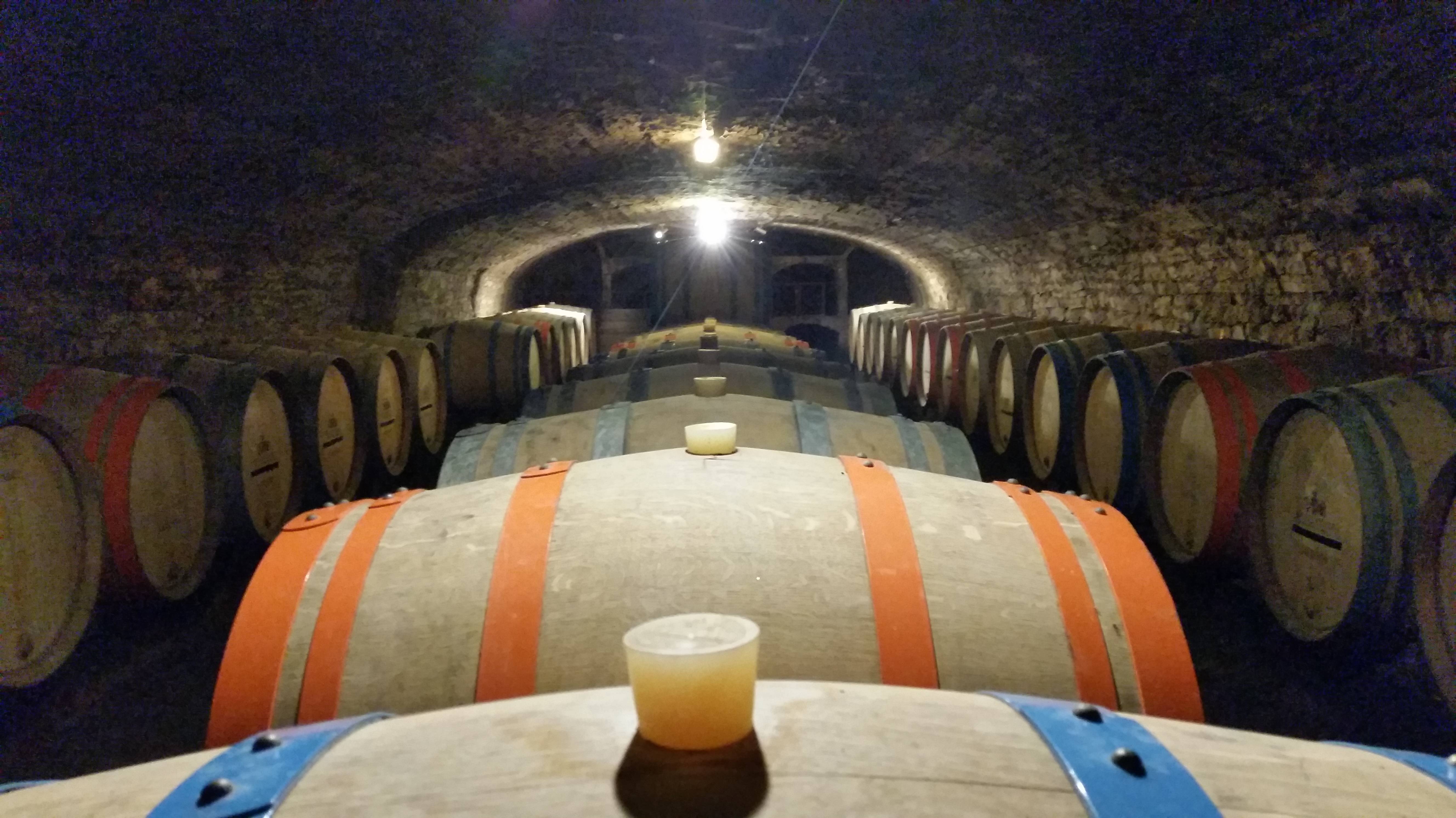 Bodega del Siglo XII, en Château de Chassagne-Montrachet