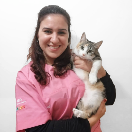 Vetmedis Vetmedis