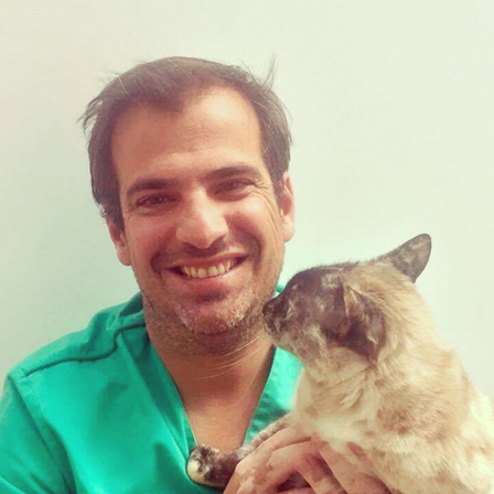 Vetmedis Vetmedis