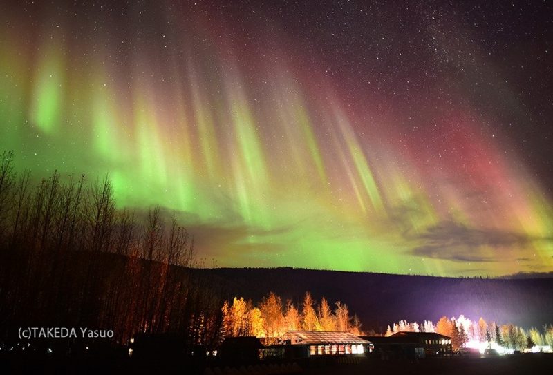 Spectacular Dancing Northern Lights by Takeda Yasuo