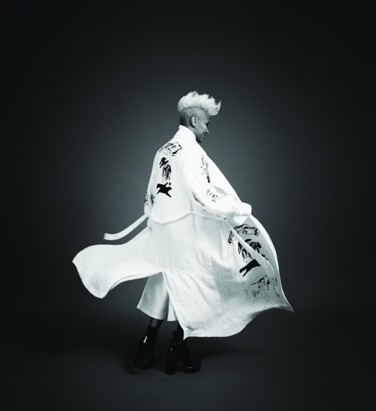 Emeli Sande's Arena Tour in 2017 | Emile Sande hospitality | Corporate Hospitality