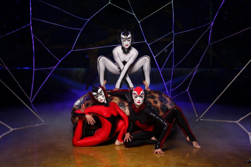 OVO - Sneaky Spiders