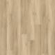 5504 Beige