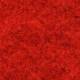 001 Red