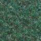 070 Green melee
