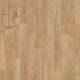 11912 Whitewashed Oak