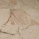 1269 Mocca Crema