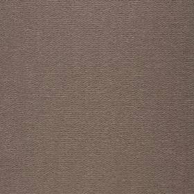 Best Wool Carpets Tasman tapijt