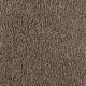 248 Taupe