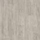 2894 Grey Pine
