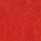 3131 Scarlet