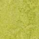 322435 Chartreuse