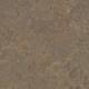 3426 Cork Tree
