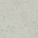 3428 Seashell