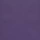40182 Grape