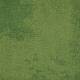 4169071 Olive