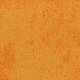 4169073 Sunburst