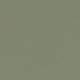 4184 Olive