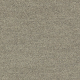 4266007 Shiitake