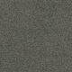 4266008 Mole