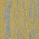 4276007 Canary