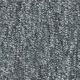 4288006 Dolphin